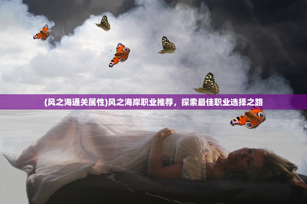 (风之海通关属性)风之海岸职业推荐，探索最佳职业选择之路