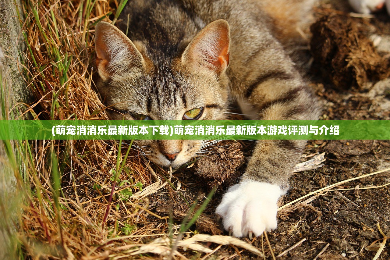(萌宠消消乐最新版本下载)萌宠消消乐最新版本游戏评测与介绍
