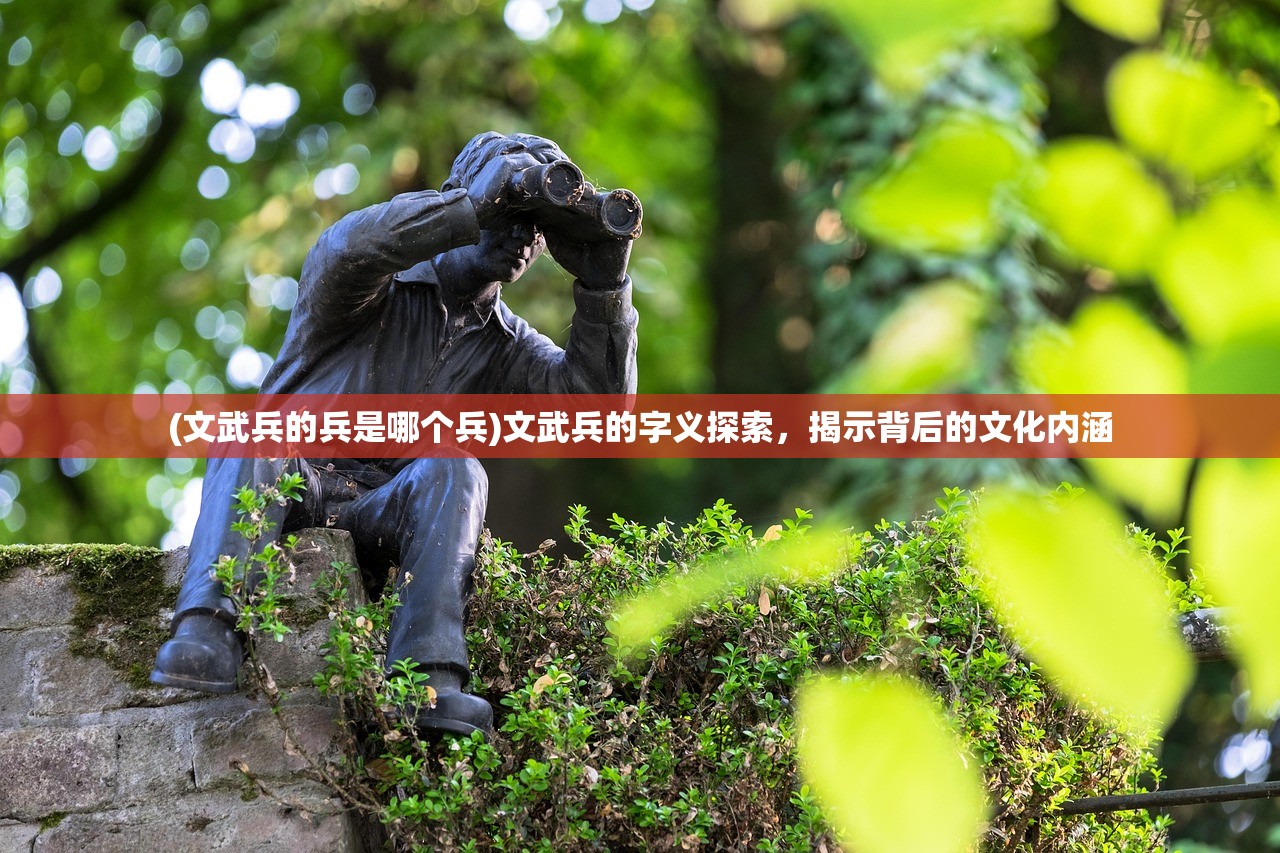 (文武兵的兵是哪个兵)文武兵的字义探索，揭示背后的文化内涵