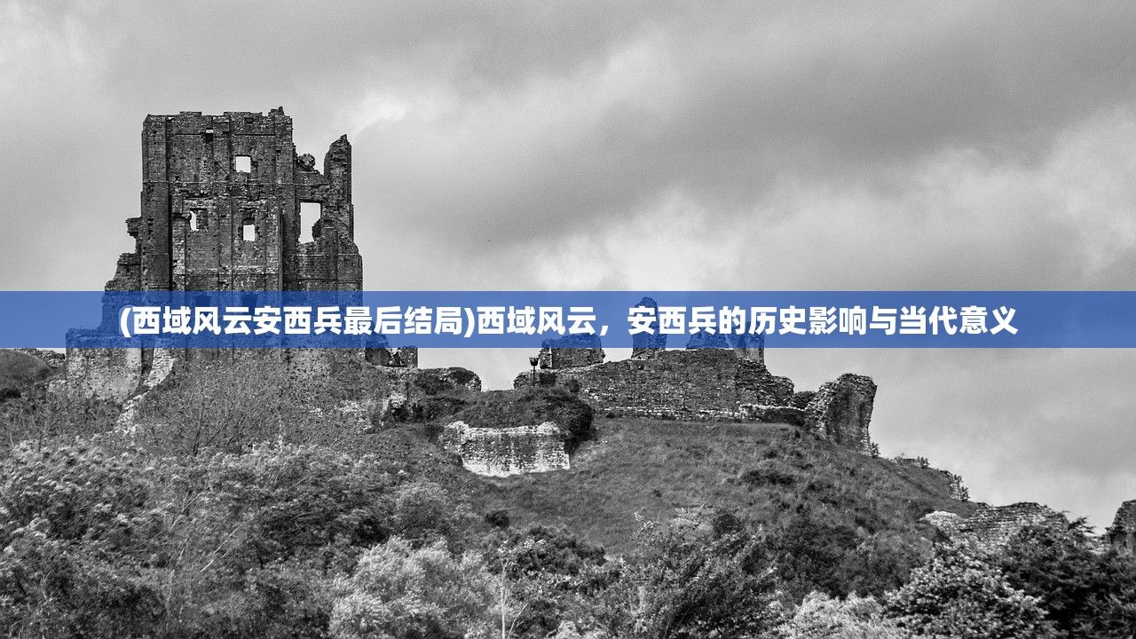 (西域风云安西兵最后结局)西域风云，安西兵的历史影响与当代意义
