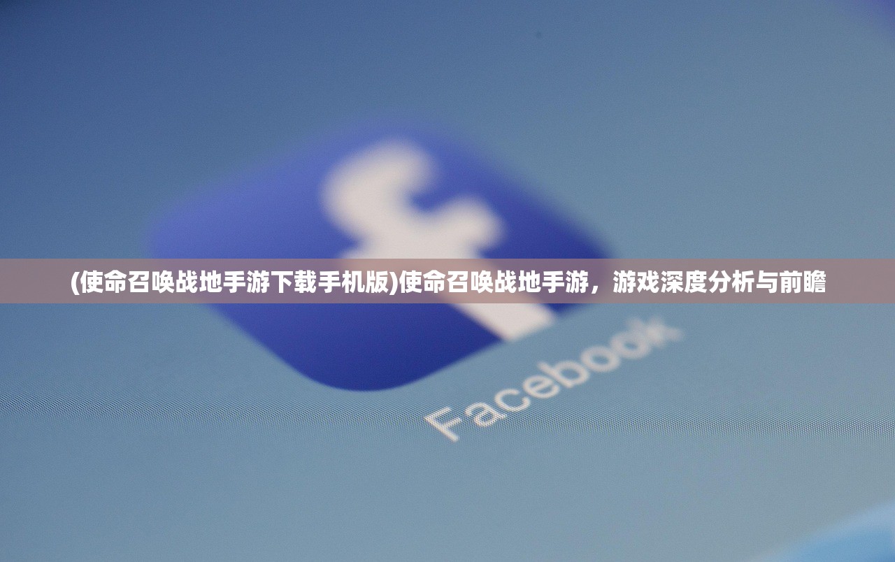 (使命召唤战地手游下载手机版)使命召唤战地手游，游戏深度分析与前瞻