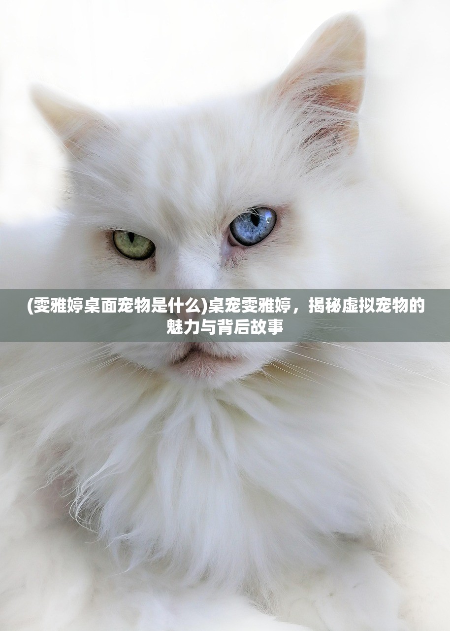 (雯雅婷桌面宠物是什么)桌宠雯雅婷，揭秘虚拟宠物的魅力与背后故事