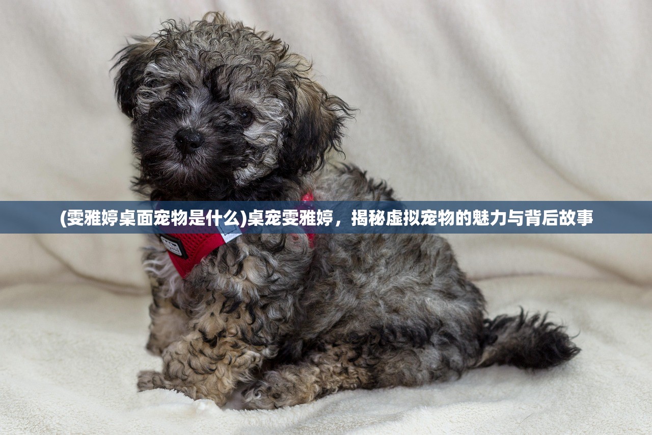 (雯雅婷桌面宠物是什么)桌宠雯雅婷，揭秘虚拟宠物的魅力与背后故事