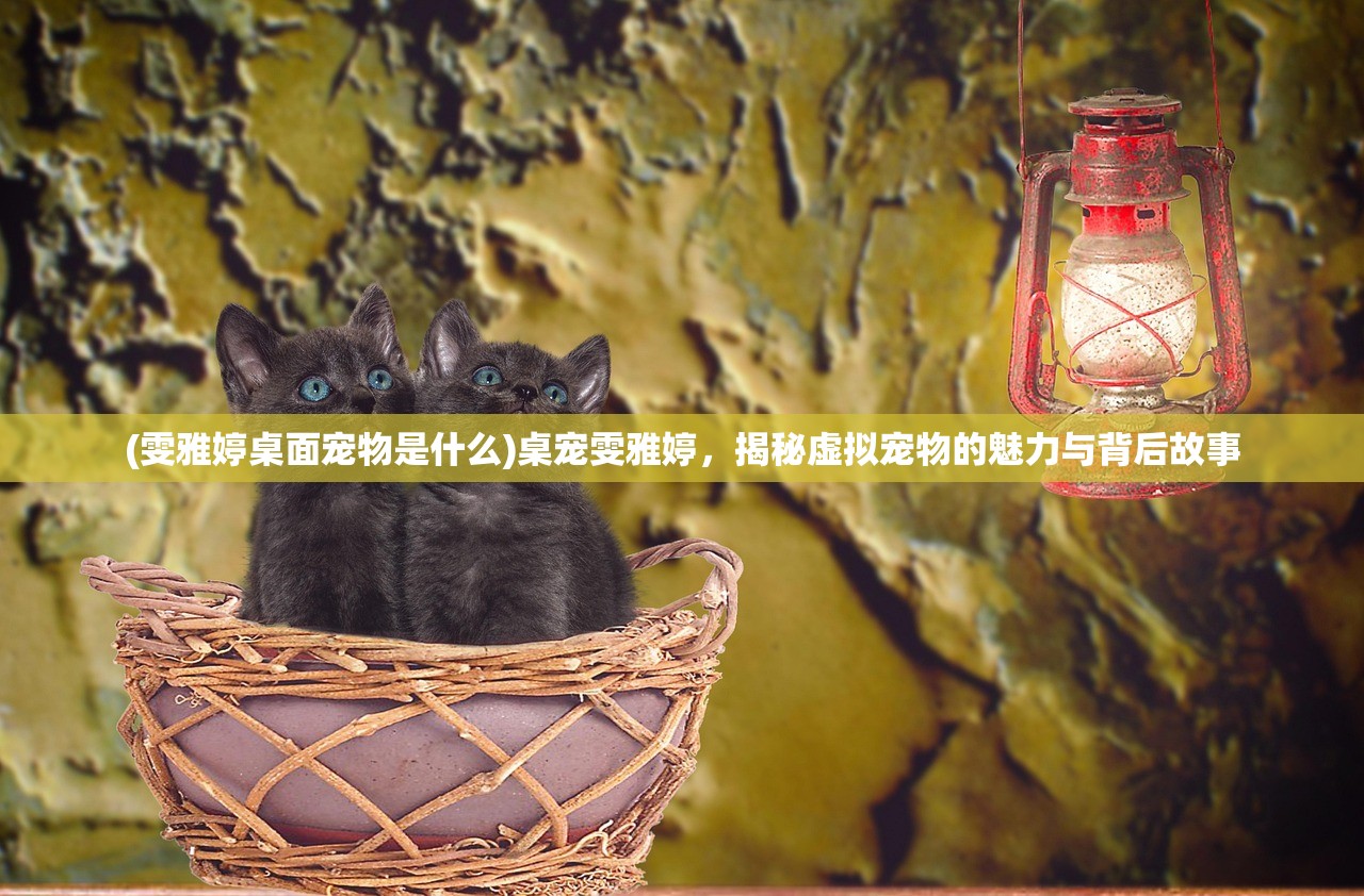 (雯雅婷桌面宠物是什么)桌宠雯雅婷，揭秘虚拟宠物的魅力与背后故事