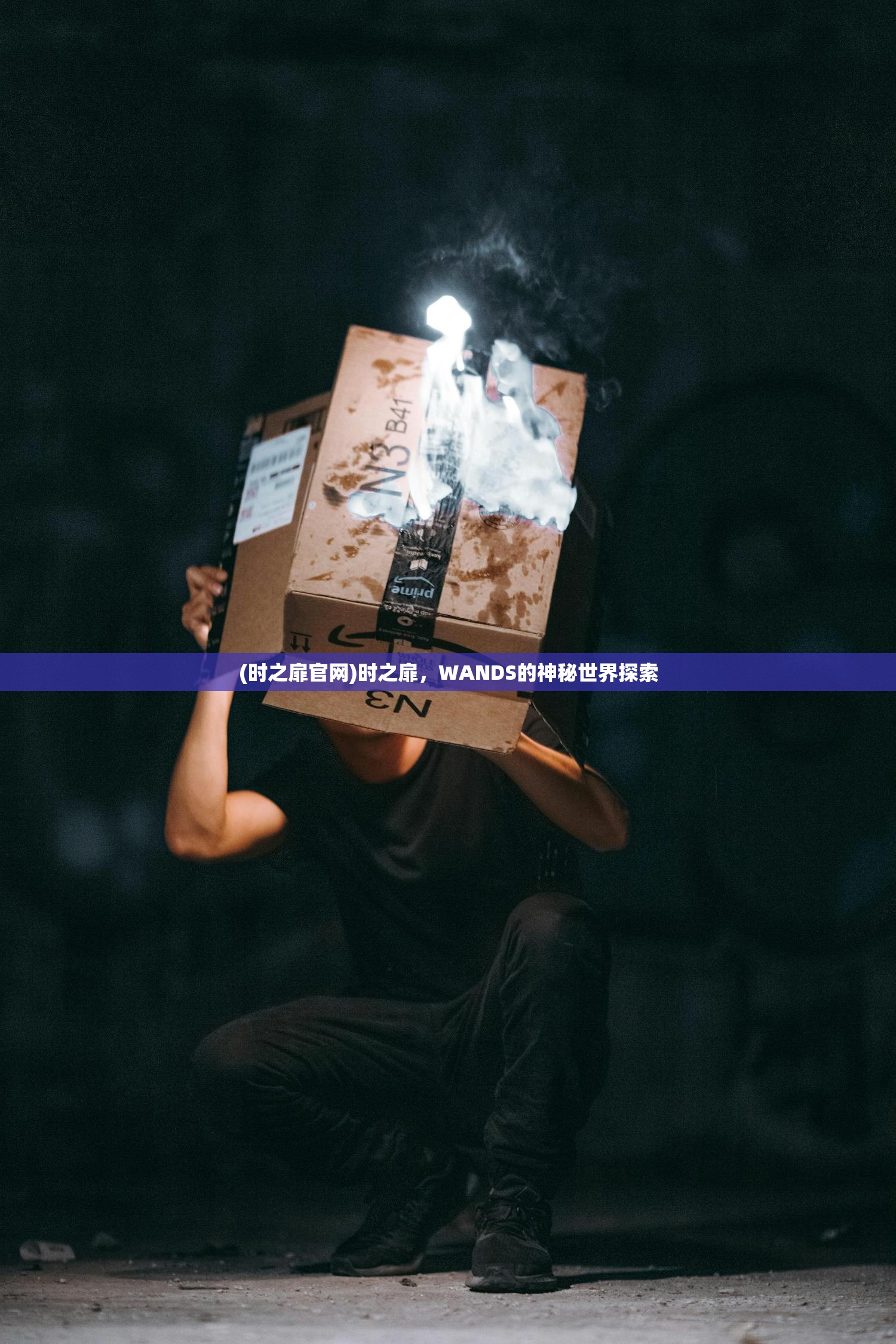 (时之扉官网)时之扉，WANDS的神秘世界探索