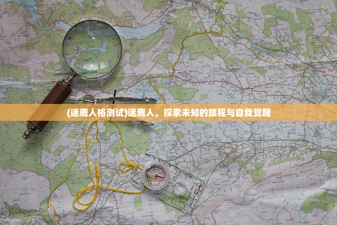 (迷鹿人格测试)迷鹿人，探索未知的旅程与自我觉醒