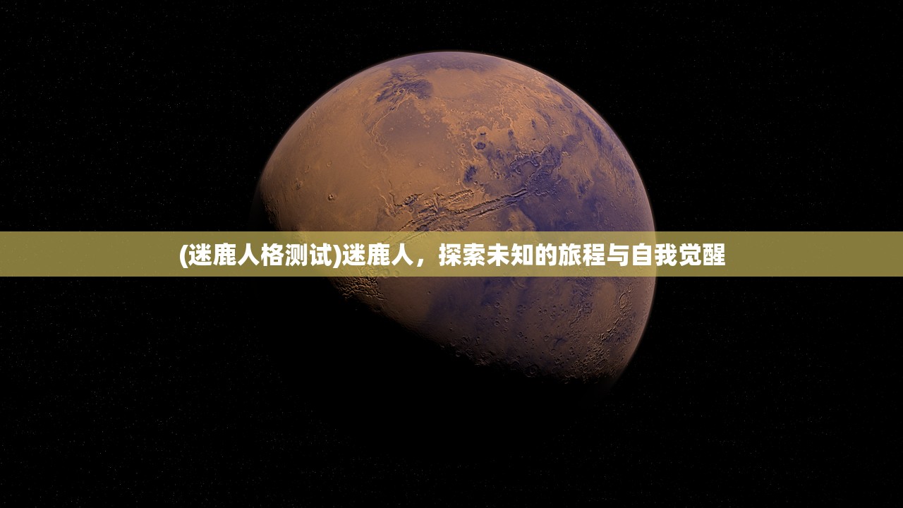 (迷鹿人格测试)迷鹿人，探索未知的旅程与自我觉醒
