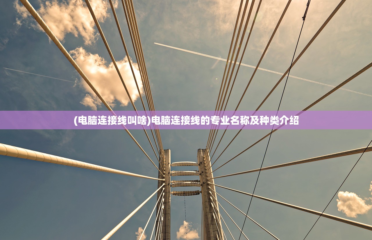 (电脑连接线叫啥)电脑连接线的专业名称及种类介绍