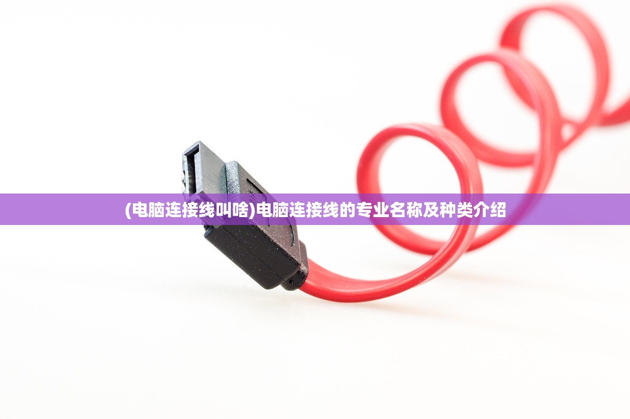(电脑连接线叫啥)电脑连接线的专业名称及种类介绍