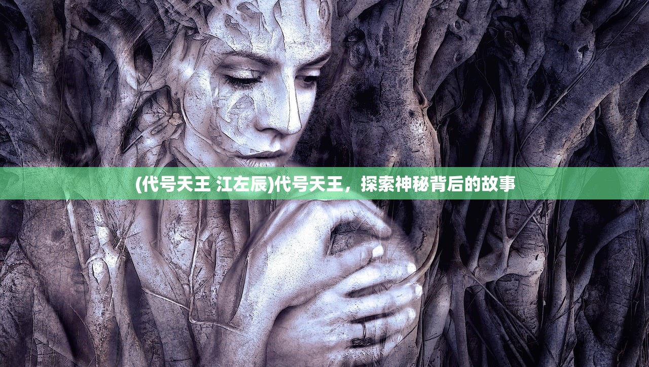 (代号天王 江左辰)代号天王，探索神秘背后的故事