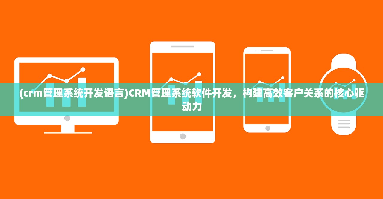 (crm管理系统开发语言)CRM管理系统软件开发，构建高效客户关系的核心驱动力