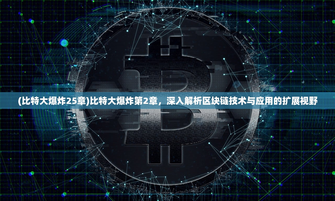 (比特大爆炸25章)比特大爆炸第2章，深入解析区块链技术与应用的扩展视野