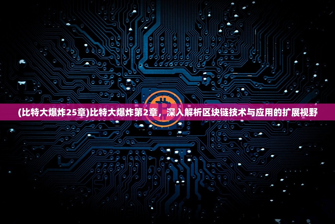 (比特大爆炸25章)比特大爆炸第2章，深入解析区块链技术与应用的扩展视野