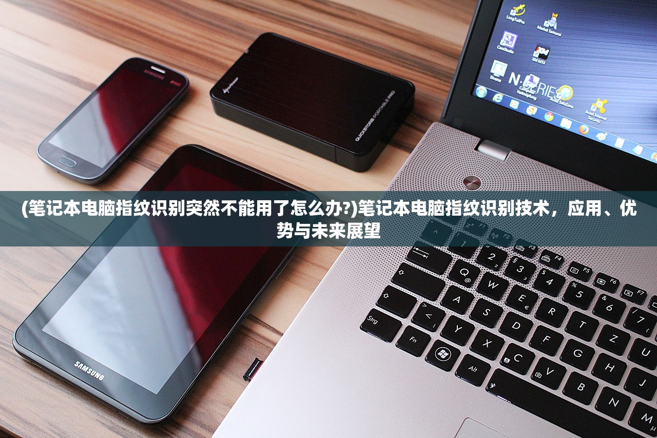 (笔记本电脑指纹识别突然不能用了怎么办?)笔记本电脑指纹识别技术，应用、优势与未来展望