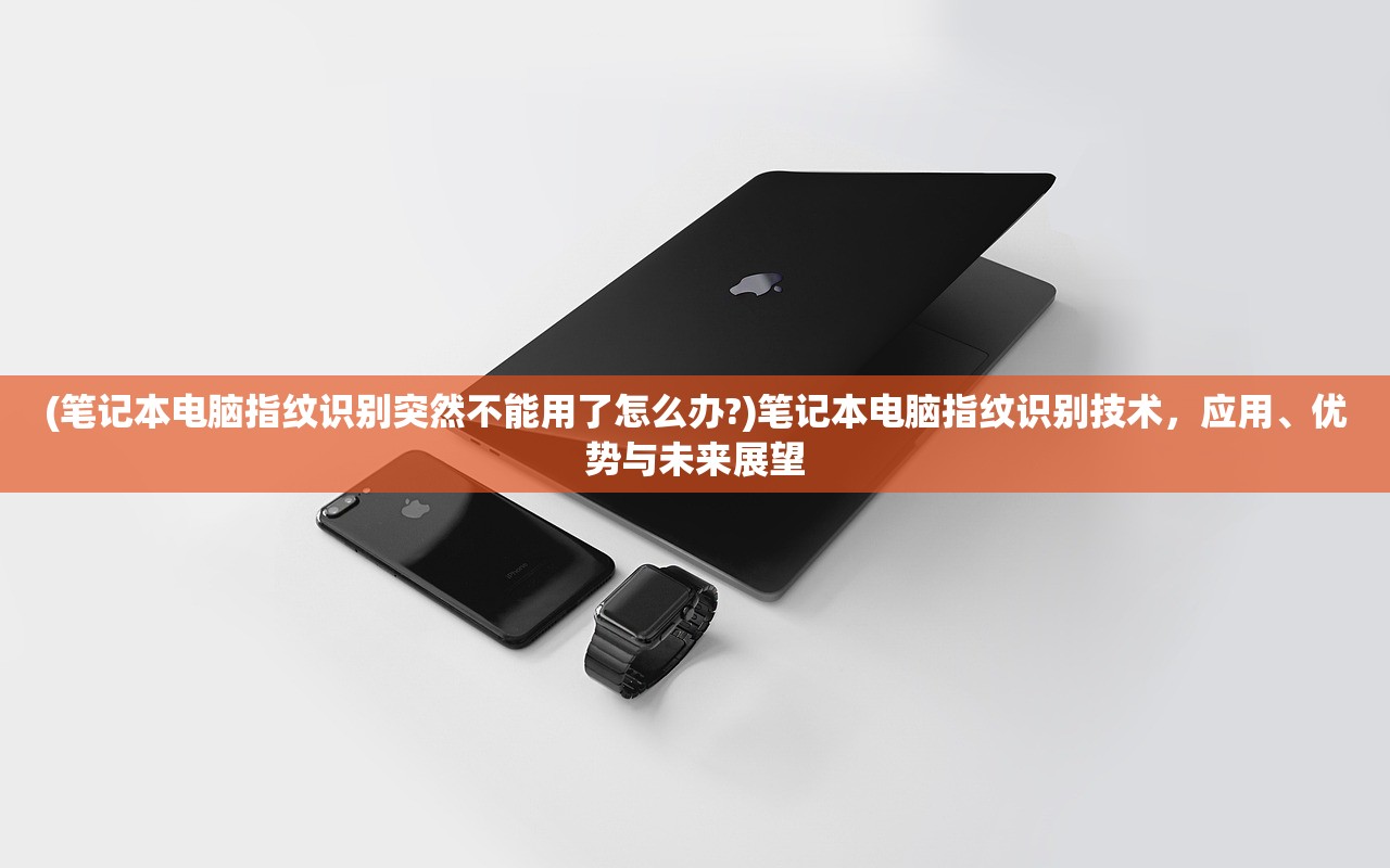 (笔记本电脑指纹识别突然不能用了怎么办?)笔记本电脑指纹识别技术，应用、优势与未来展望