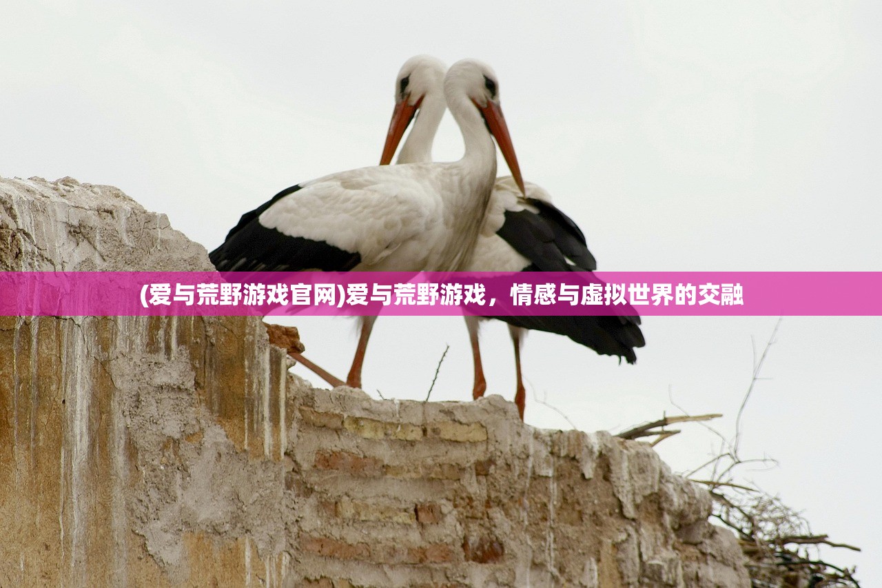 (爱与荒野游戏官网)爱与荒野游戏，情感与虚拟世界的交融