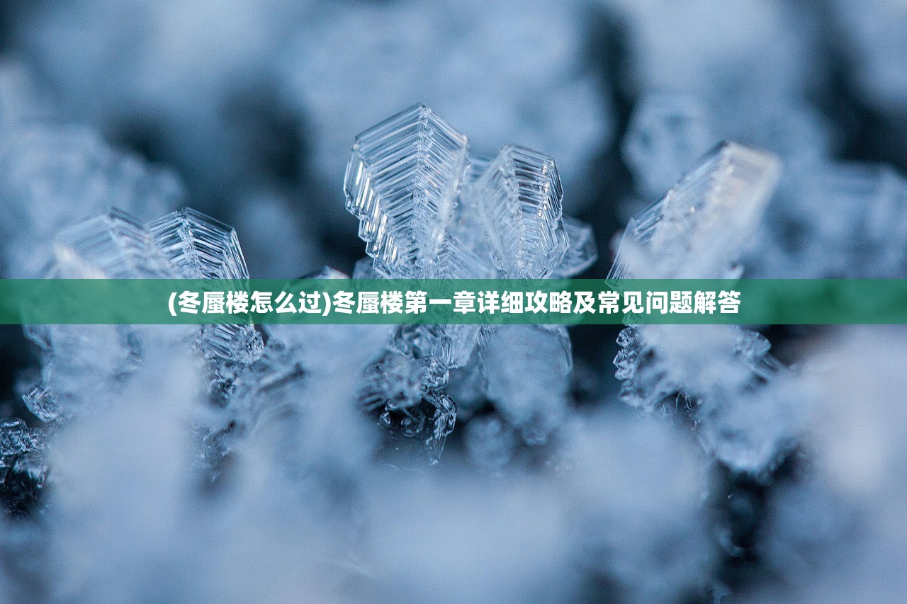 (冬蜃楼怎么过)冬蜃楼第一章详细攻略及常见问题解答
