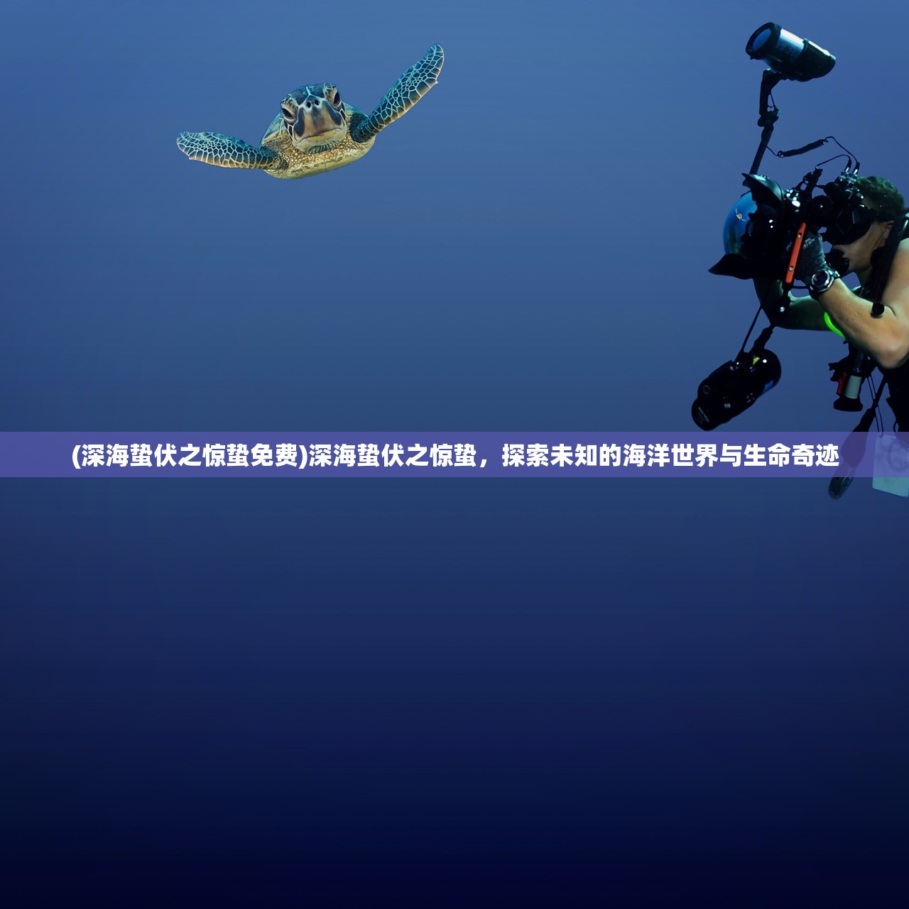 (深海蛰伏之惊蛰免费)深海蛰伏之惊蛰，探索未知的海洋世界与生命奇迹