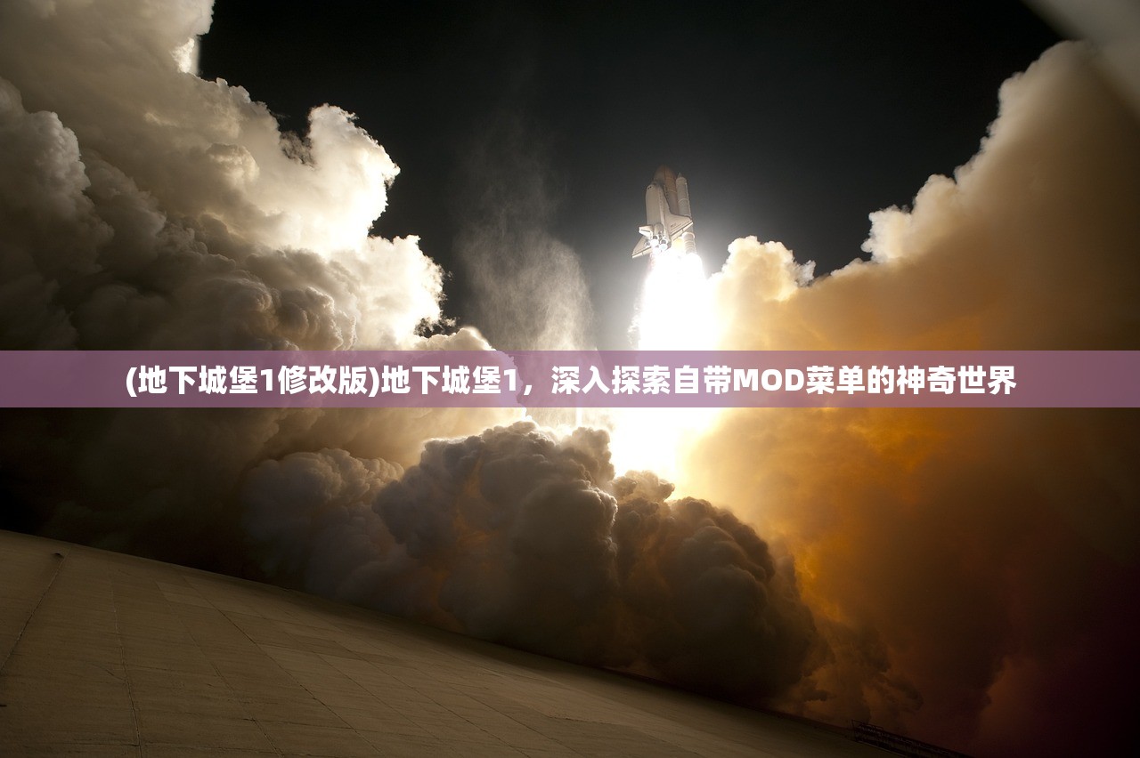 (地下城堡1修改版)地下城堡1，深入探索自带MOD菜单的神奇世界