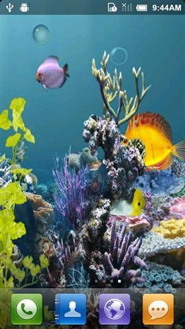 轻松养鱼水族馆安卓版下载-轻松养鱼水族馆整合包下载v.3.88