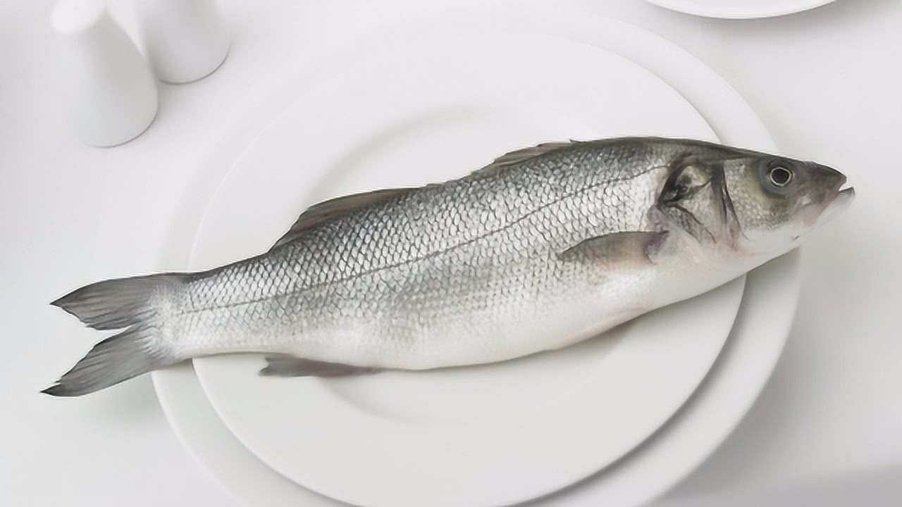 肉鸽鱼吃鱼中文版无广告下载-肉鸽鱼吃鱼内置功能菜单下载v.9.68